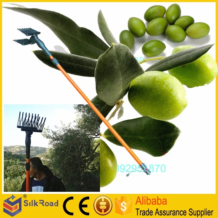 Hot Sale Olive Harvester Olives Used Buy Olive Harvester Olives Used