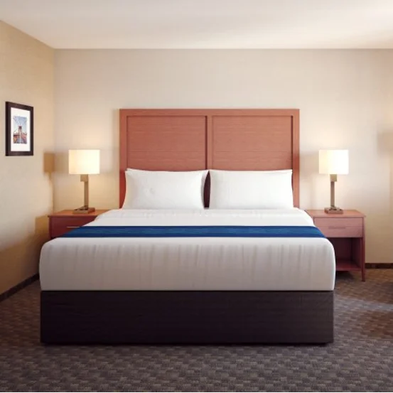 
New Style Comfort Inn & Suites Comfort Hotel Furniture 