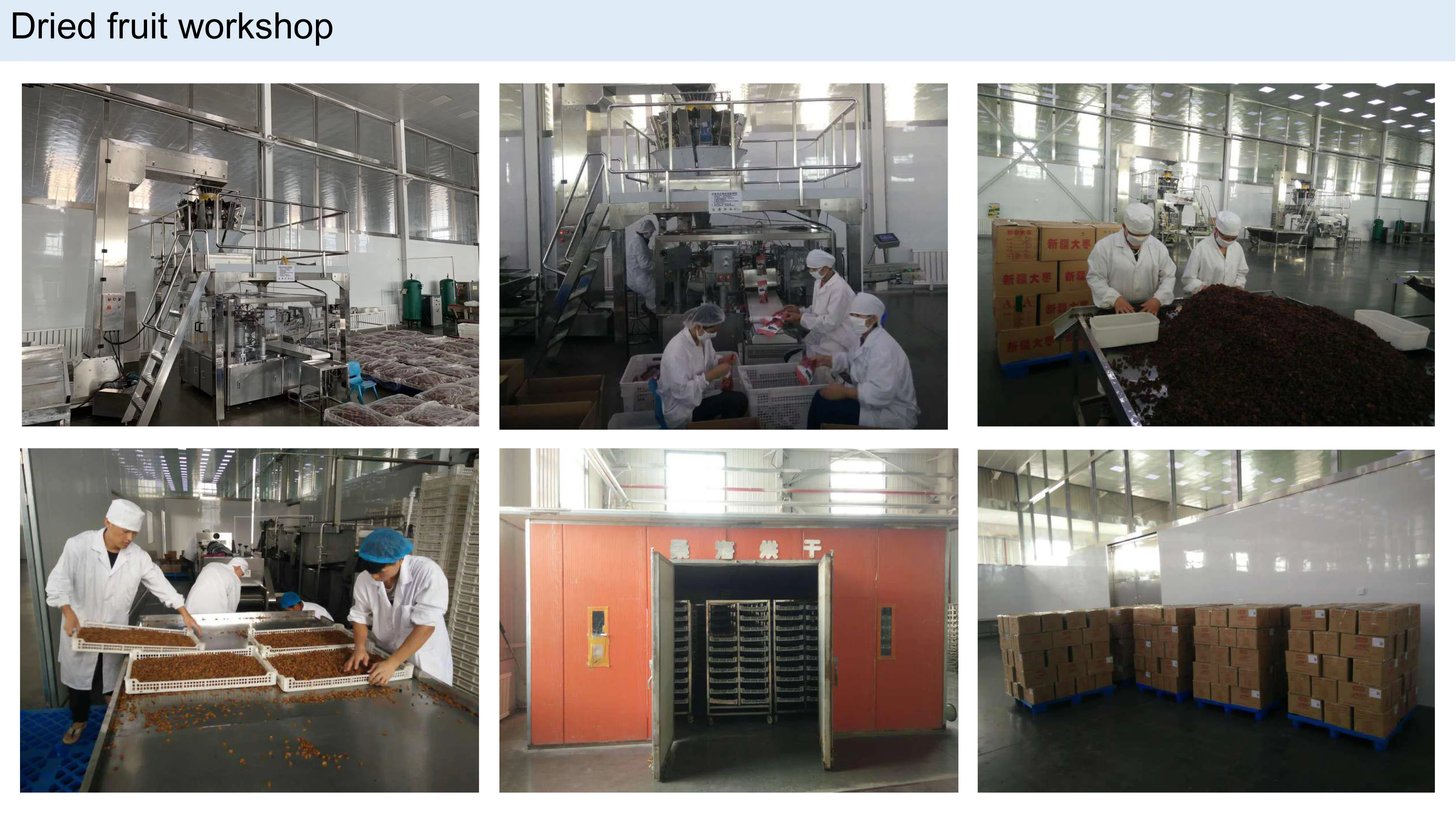 2019 dry jujube in package dried dates king dates products