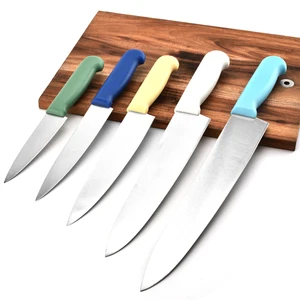 Image of Wholesale high quality kitchen Chef vegetable Knives stainless steel fruit knife with plastic handle