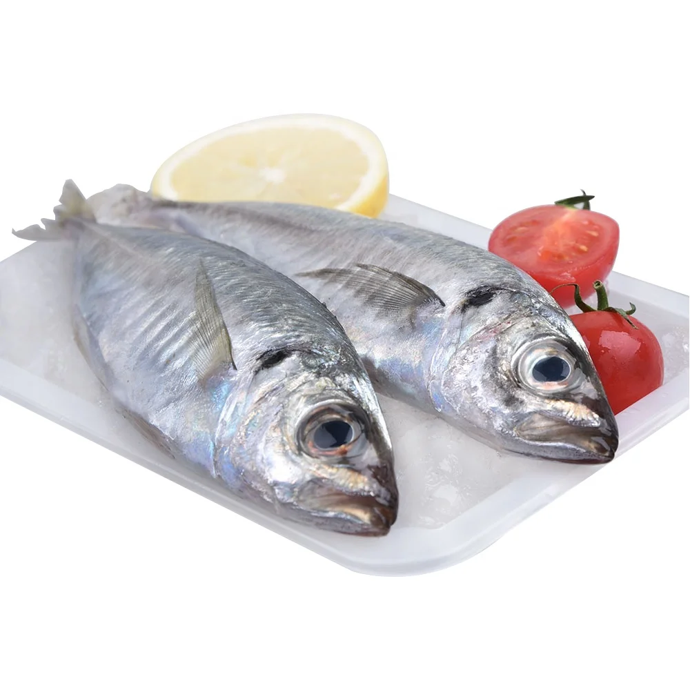 
Export Fresh Frozen Horse Mackerel Fish/Big Eye Scad Fish 