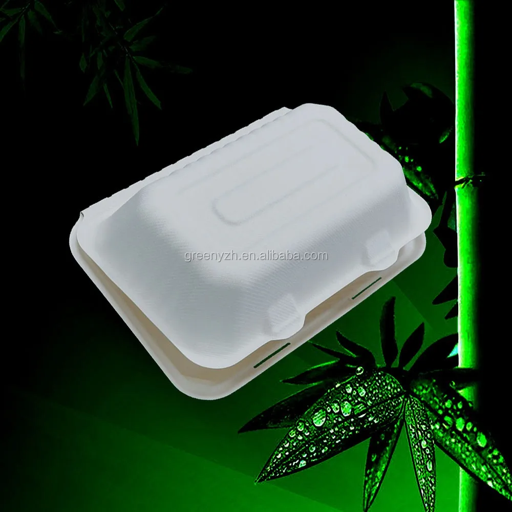 Fast-food-box-33
