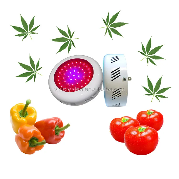 Full spectrum plant light panel 300w led grow light for indoor garden