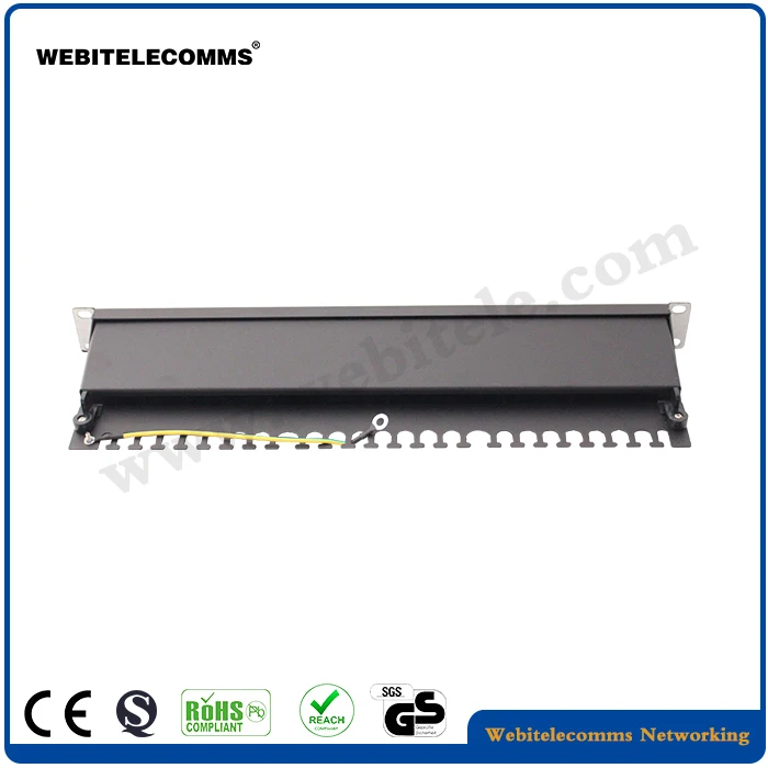 50 Microinch Golden Painting 24 Ports 1U Cat6a Patch Panel