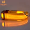 Factory supply discount price 2 led pet leash 100% waterproof flash dog collar nylon webbing flashing rechargeable