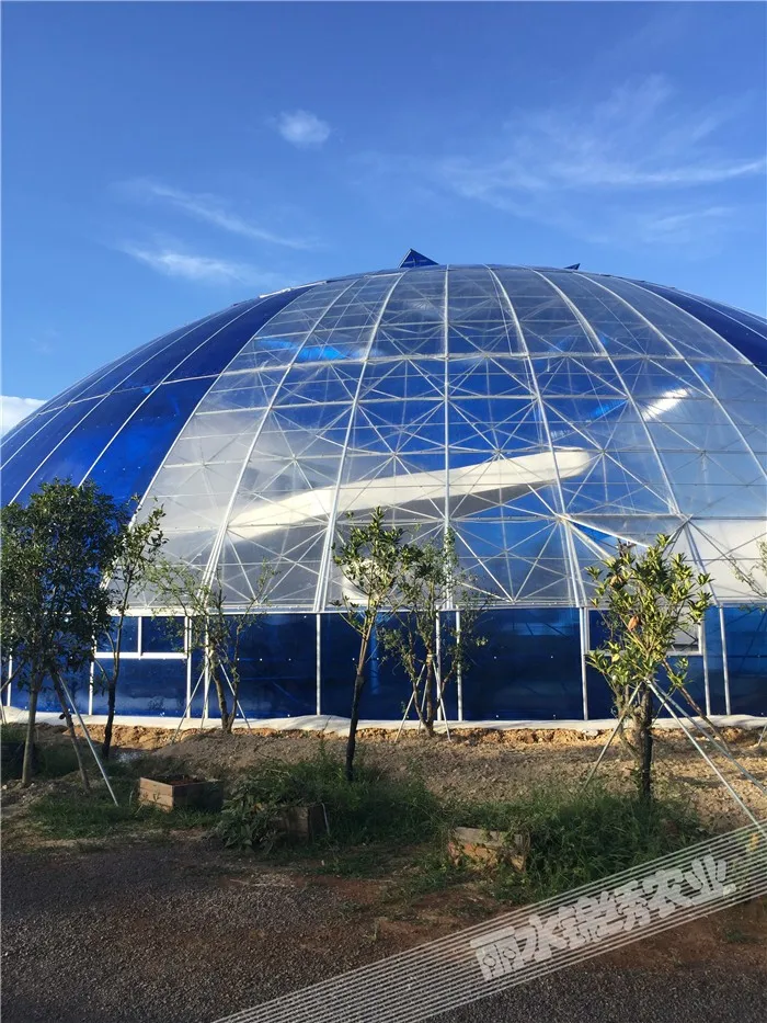 Geodesic Large Glass Agricultural Dome Greenhouse - Buy Glass Dome
