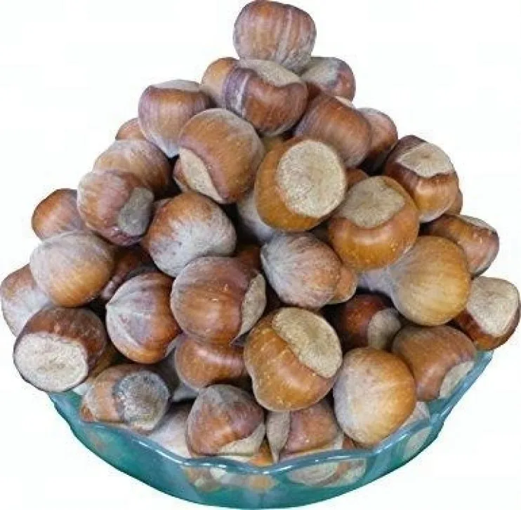 Nuts Kernels Hazelnut