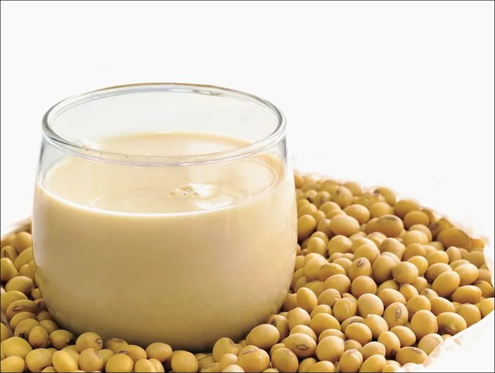 New Brand Soybean Whey Protein Powder Blend Organic Raw Vegan 60