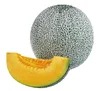 Hybrid muskmelon hami melon seeds for sale affection net