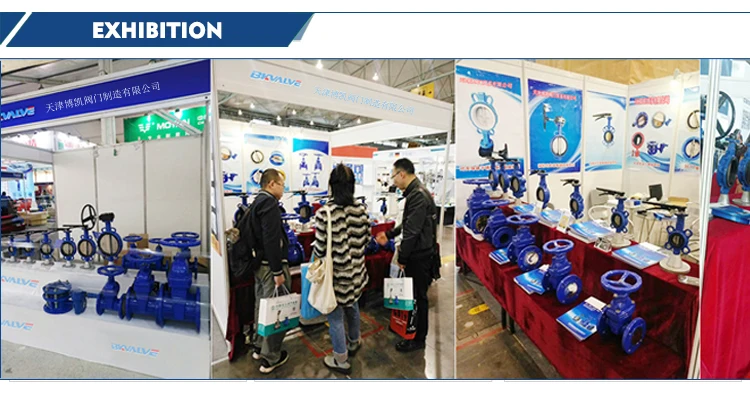 DN450 PN16 wafer Double Eccentric butterfly valve manufacturer