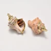 New Wholesale Sea Shell Jewelry Pendant Necklace Charm Pendant