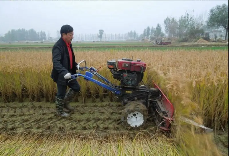 Rice And Wheat Harvesters For Walking Tractor/cutterrower Agricultural