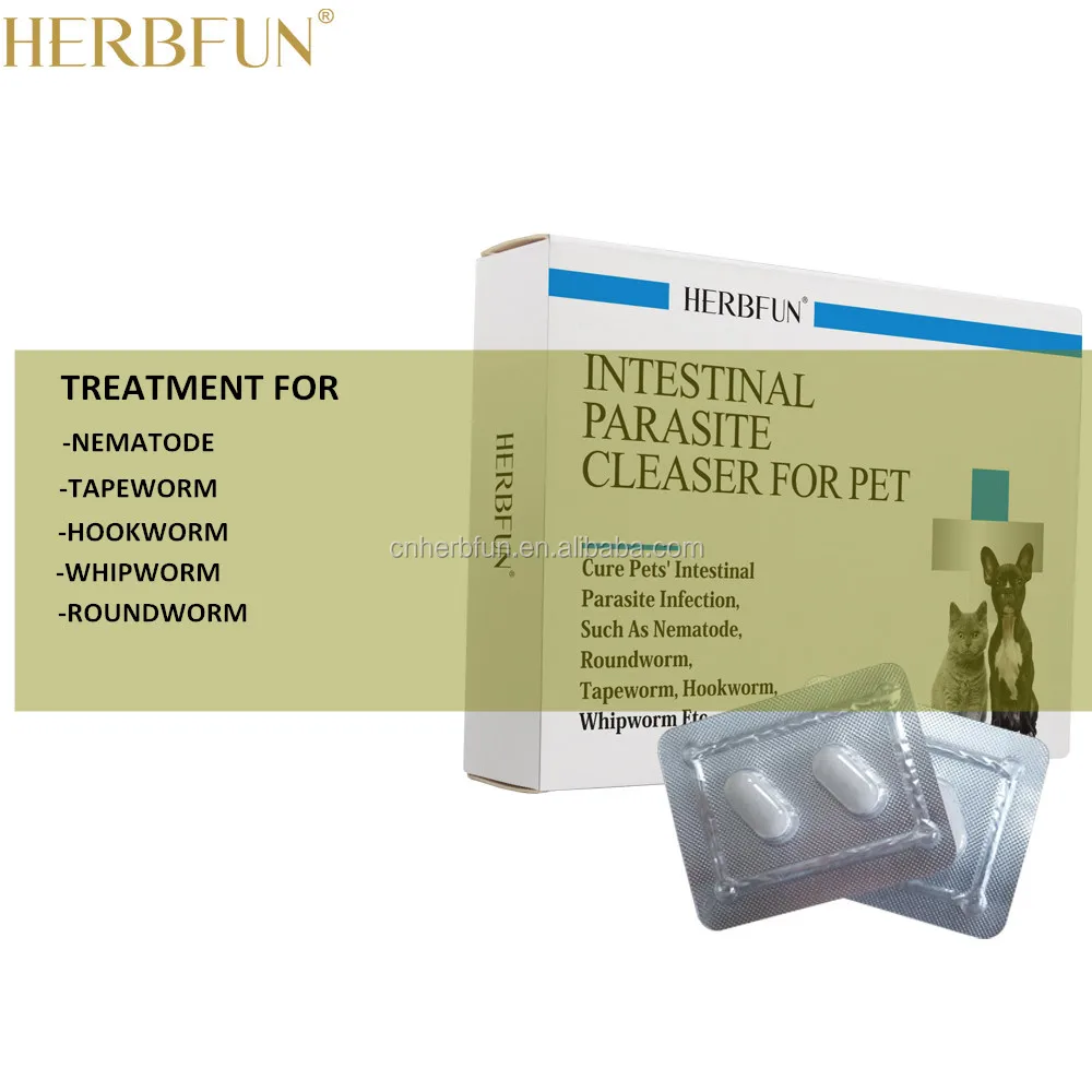
Pet Intestinal Parasites and Endoparasites Medicine for Dog and Cat 