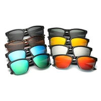 

Summer color plastic wholesale ray band brand polarized sunglasses with TAC lens gafas de sol