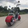 1500w mobility two wheel china electric scooter for disabled