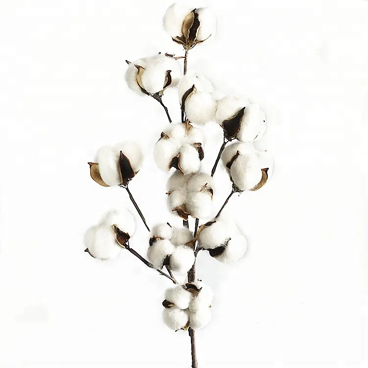 

Decorative Dried 12 head White Artificial Cotton boll Flower Stems wholesale
