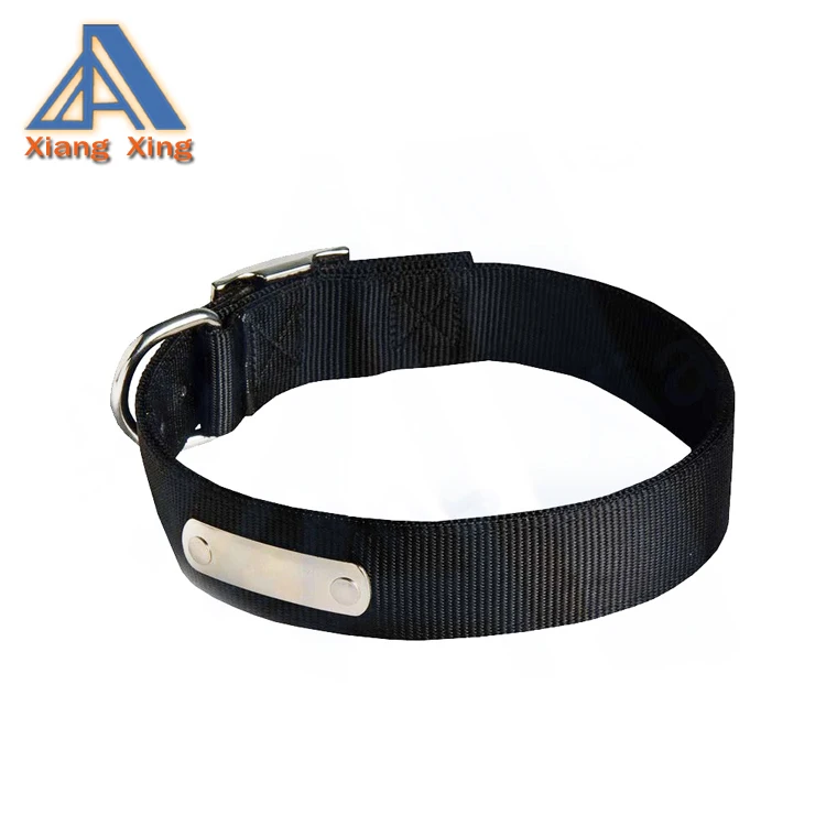 dog collars with buckle fastening