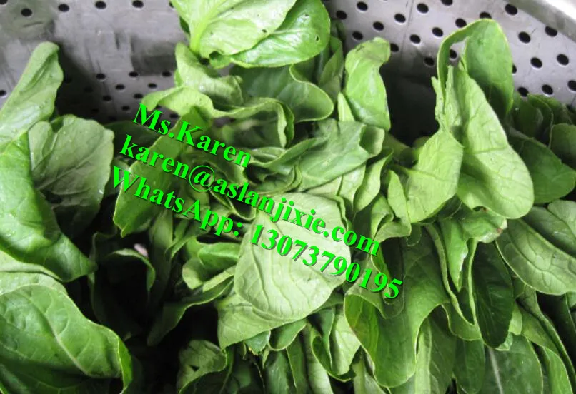 Lettuce Dehydration Machine By Centrifugal Principle / Table Type Leaf ...