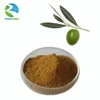 Rongsheng pure natural organic olive leaf extract in bulk