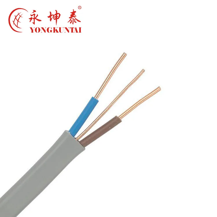 450/750V single core 1mm 1.5mm 2.5mm 4mm 6mm 10mm 16mm electrical insulated copper wire cable