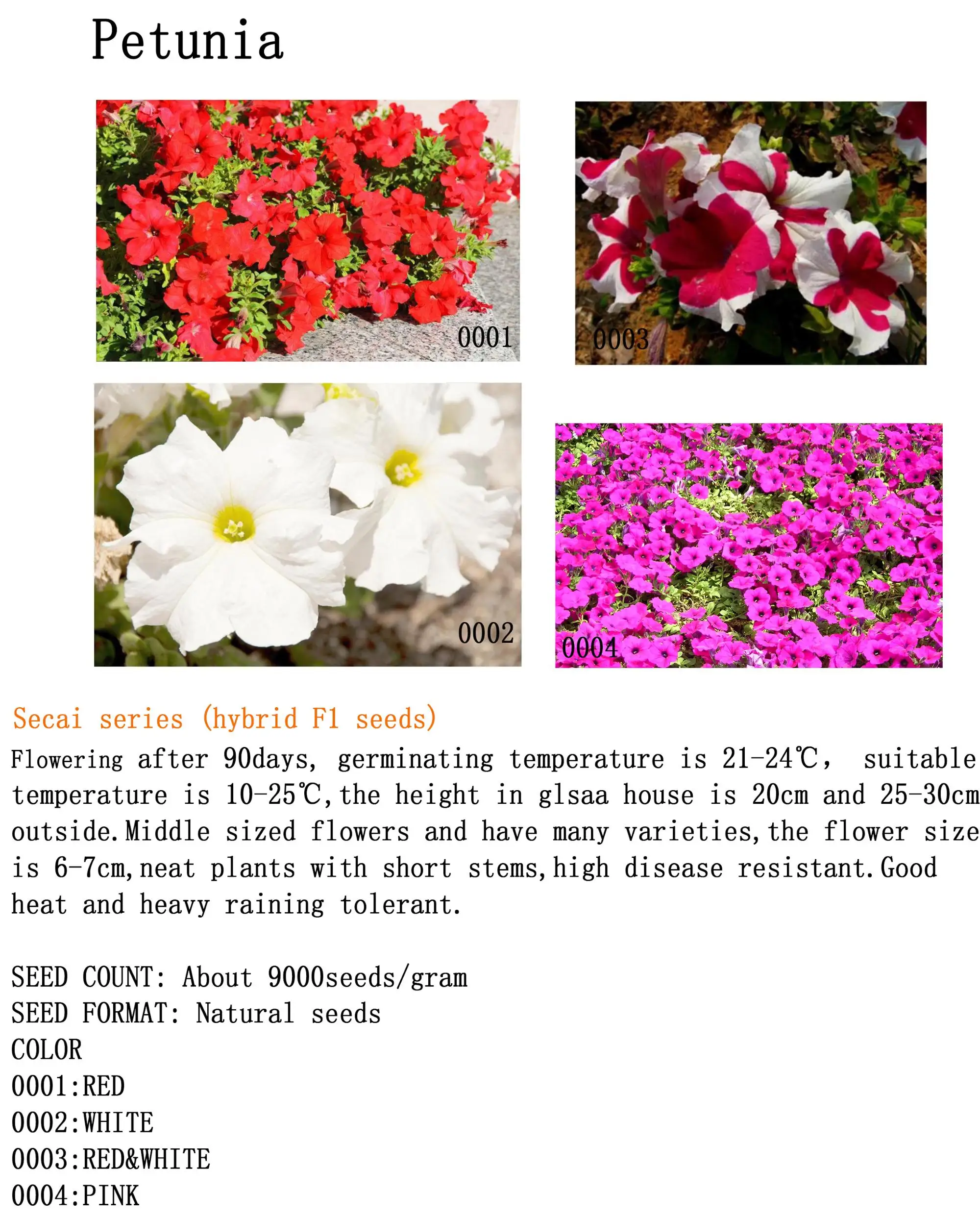 Get Flower Seeds Petunia Seeds For Sale Buy Flower Seeds Petunia For iPhone Get Wallpaper Flower Seeds Petunia Seeds For Sale Buy Flower Seeds Petunia For iPhone Free