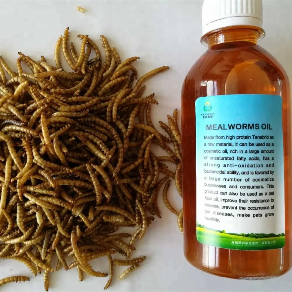 
Dried mealworms for poultry and livestock dried tenebrio molitor bird food pets food bird meal pets meal 