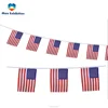 Plastic Bunting String Flags /customized flag