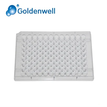 Microtitation Cell Culture Plate With 6 Well12 Well24 Well96 Well Buy Cell Platecell Culture Plate96 Well Cell Plate Product On Alibabacom