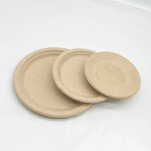 Image of disposable paper plate compostable sugarcane fiber plate