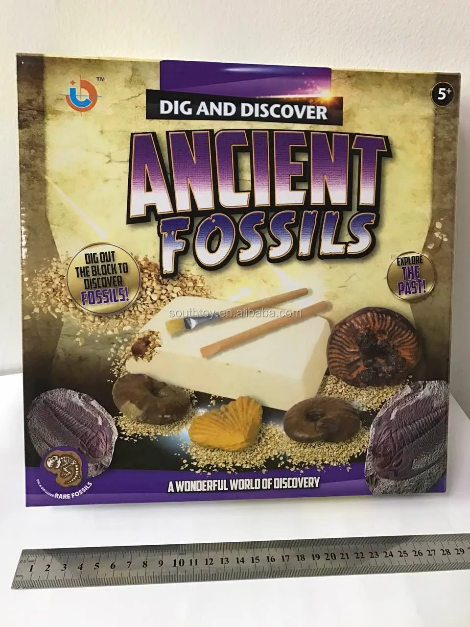 dinosaur egg fossil excavation kit