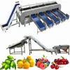 Ozone Apple Blueberry Olive Washing Pea Bean Sprout Cleaning Machine Cassava Vegetable And Fruit Washer Processing Line