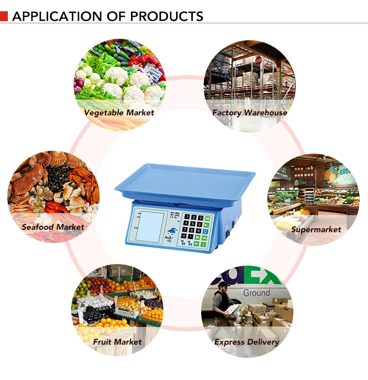 _04.jpg