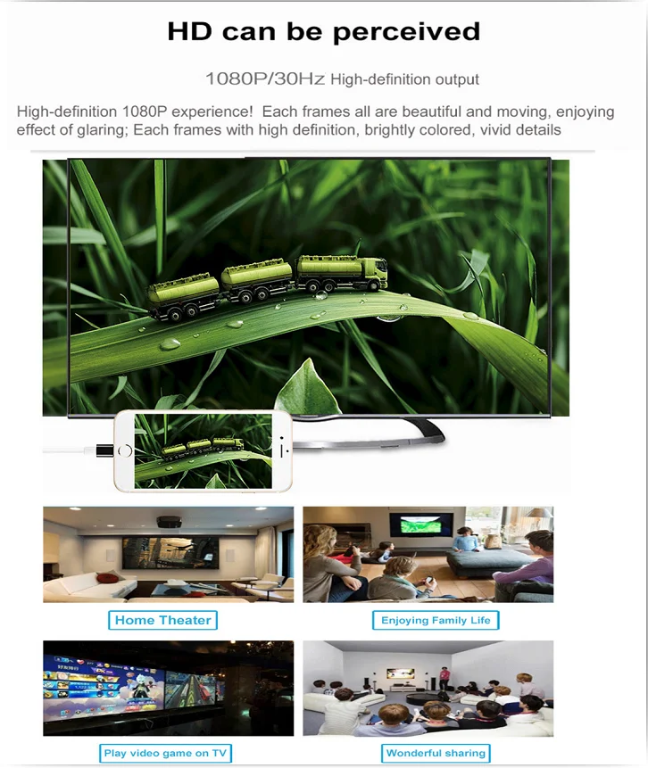 HDTV Adapter Cable for iPhone