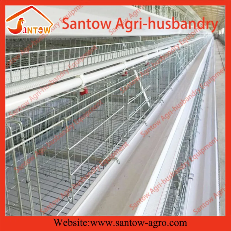 Automatic chicken cages hot galvanized poultry cage cheap price battery cage design for Uganda Nigeria Kenya Africa