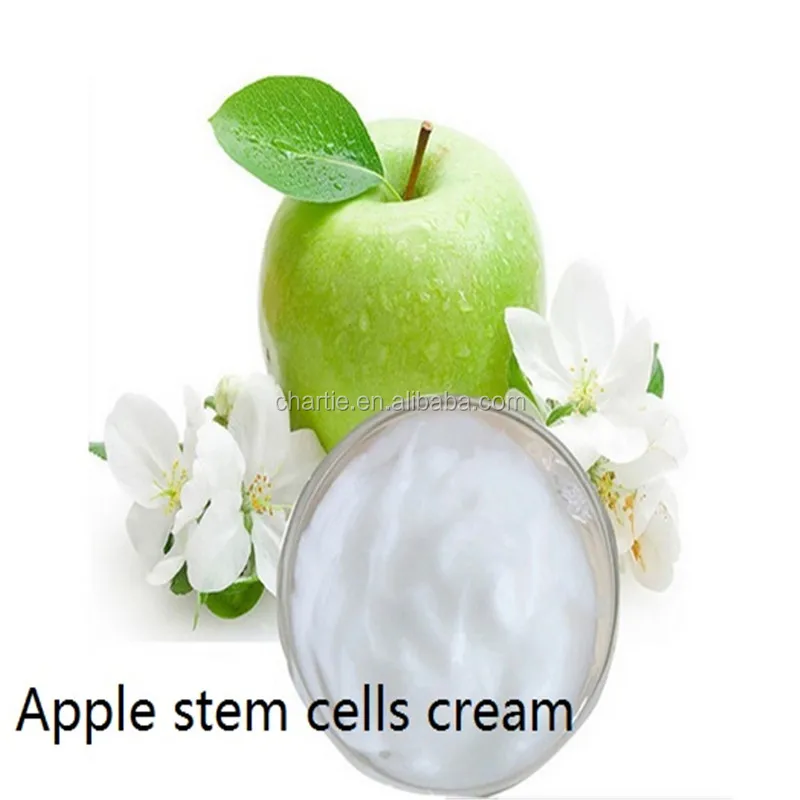 

Apple stem cell cream 1000g OEM lremove wrinkles Nourishing anti-aging, White