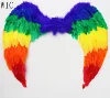 2018 DIY Colorful Goose Feather Wing for Party