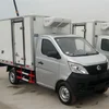Gasoline small Fresh Meat Fish Transport Cooling Box Truck , Small Cold Van For Sale