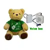 custom voice recorder speaking plush bear