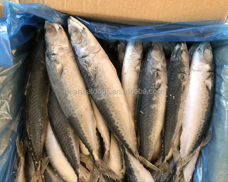 Best Products Fish Fresh Catch Frozen Pacific Mackerel In Pouch Buy