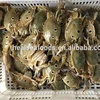 whole round good packing frozen crab for sale