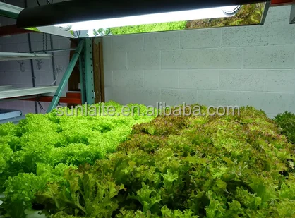 
new supplies Bi-spectrum 300w Induction lamp for plants 85v-277v REAL Sulphur plasma grow light vegetables 