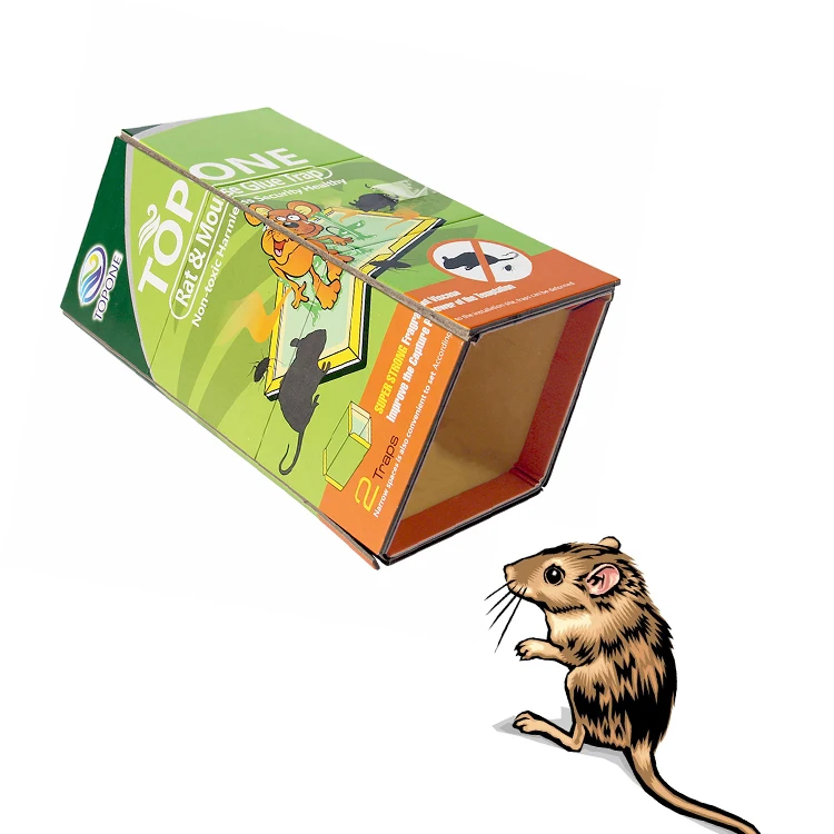 Humane Live Mouse Trap Nontoxic Rat Val Kooi Vangen Muizen