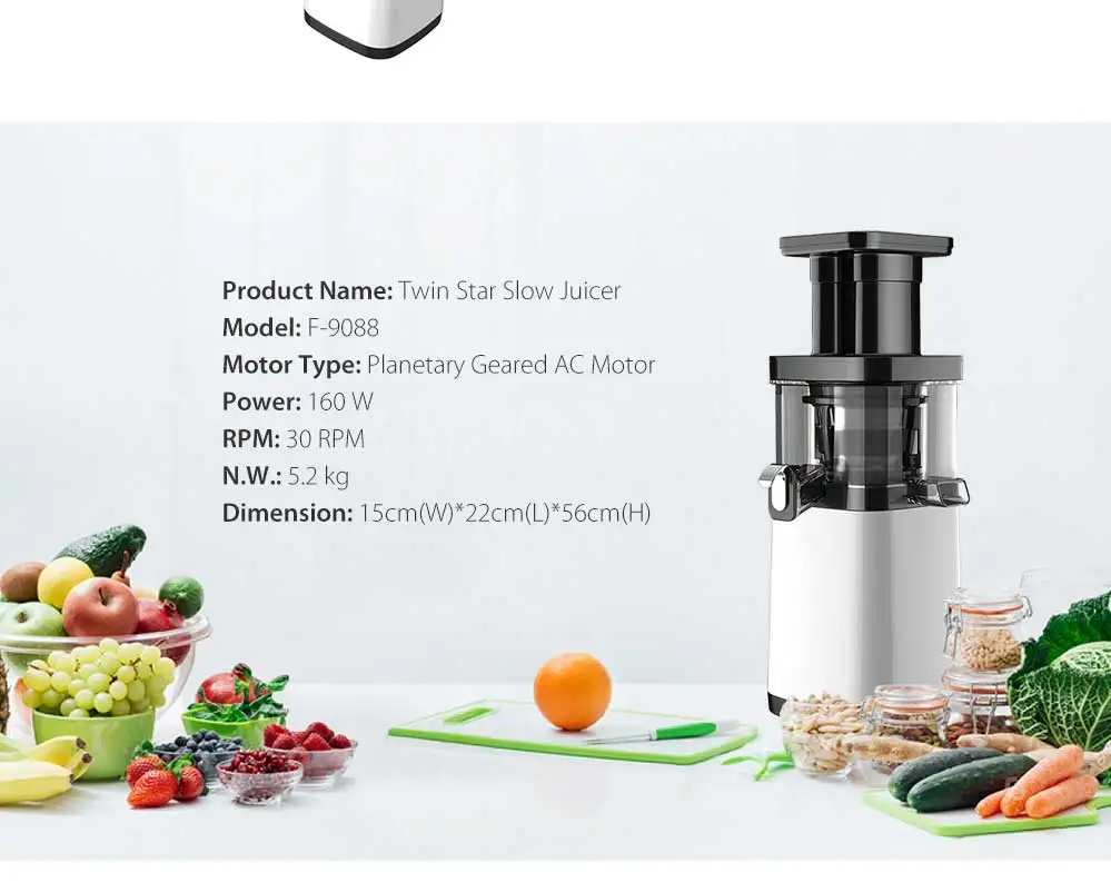 Twin Star Slow Juicer Vertical Fruit Cold Press Sugarcane Juicer