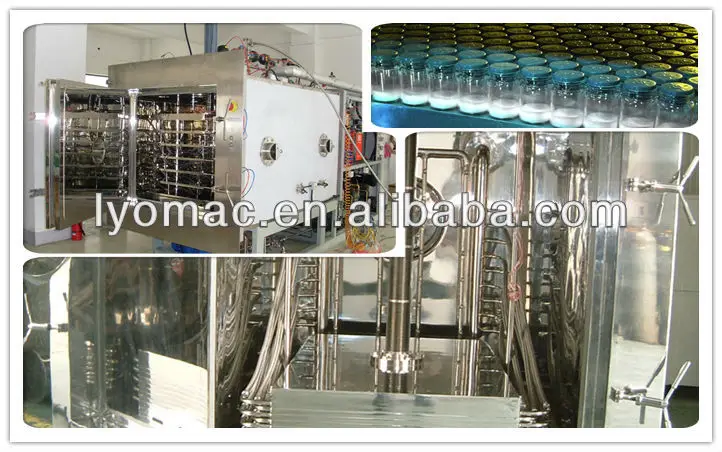 production freeze dryer 3