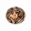 Roasted Sunflower Seeds with walnut, lemon, milk, spicy flavor, in bags or in bulk