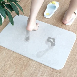 Image of Diatomite Dry Mat Bathroom Rugs China Supplier Amazon Top Seller 2018