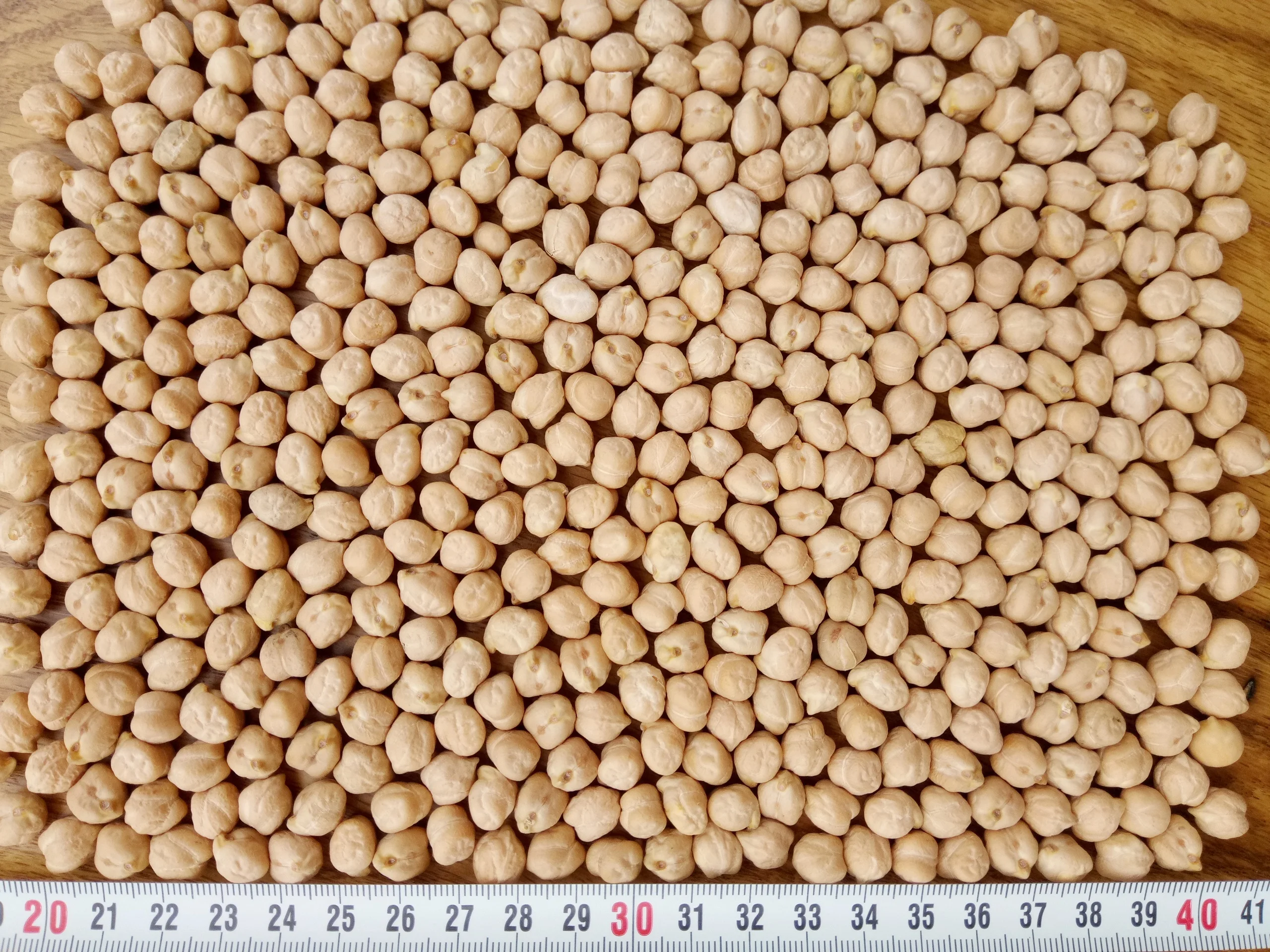 product name  kenya dark red kidney beans size 180-200,200-220