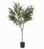 Nearly Natural Artificial Potted Olive Tree with Ceramic Pot , 73.4 inch