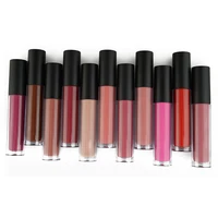 

No logo make your own liquid lipstick waterproof liquid lipstick private label
