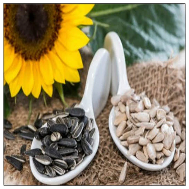 Wholesale Black Oil Sunflower Seeds - Buy Sunflower Seeds,White ...